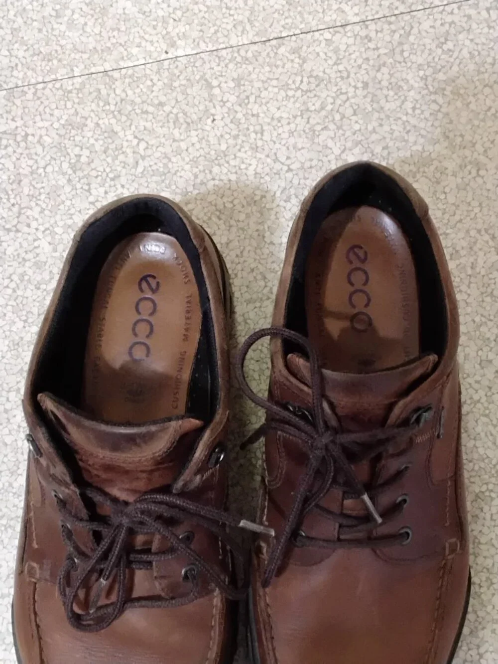 ECCO Men's Track 25 Low GORE-TEX ShoesSize 12